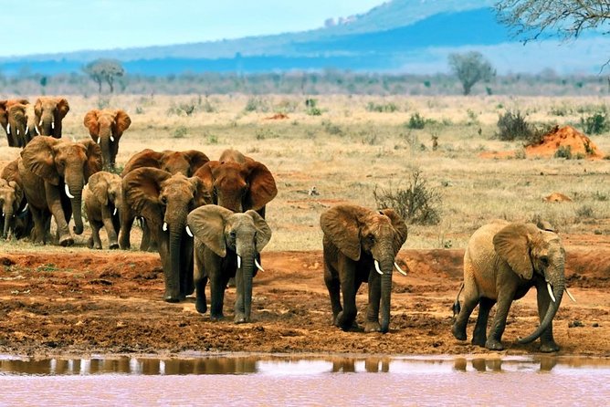 2 Days (1 night); Tsavo East & Saltlick Safari: - Taita Hills Wildlife Sanctuary focus: why the second area is worth paying for