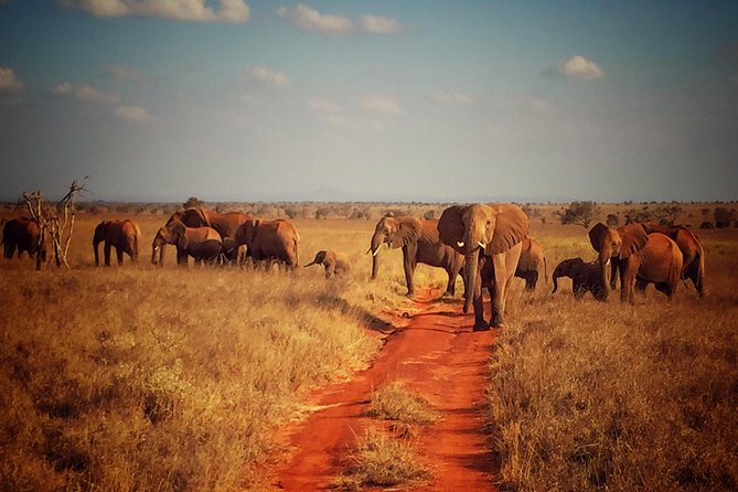 2 Days (1 night); Tsavo East & Saltlick Safari: - Leaving Diani at 5:00 am, then entering Tsavo East via Bachuma Gate