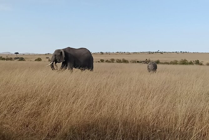2 Days Adventurous Safari in Amboseli (Mid Range Tour) - Day 1 at Amboseli Sopa Lodge: check-in, lunch, then an evening game drive