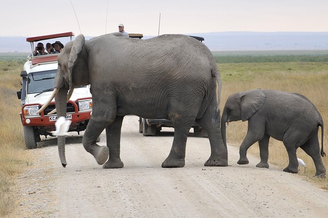 2 Days Amboseli Getaway Trip - Value and pricing: what $385 buys you, and where extras can show up