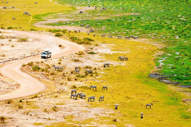 2 Days Amboseli Getaway Trip - Who should book this Amboseli getaway, and who might want more time