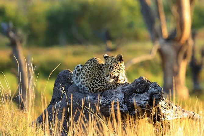 2 days Amboseli National Park Safari - Key highlights worth caring about