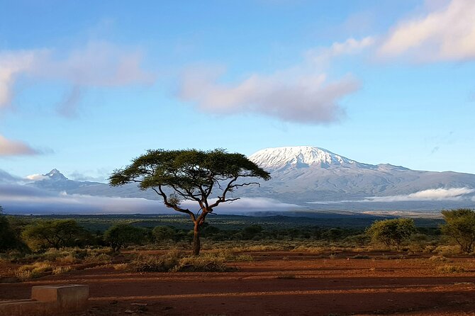 2 Days Amboseli Park Overnight Private Safari - Who this private 2-day Amboseli safari is best for
