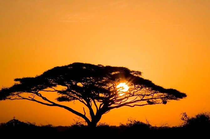 2 Days Amboseli Private Safari - Day one: where Amboseli’s habitats shape your game viewing