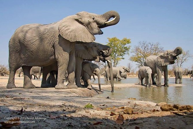2 Days Amboseli Safari Adventure from Nairobi Classic Game Drives - Key Highlights You’ll Actually Notice