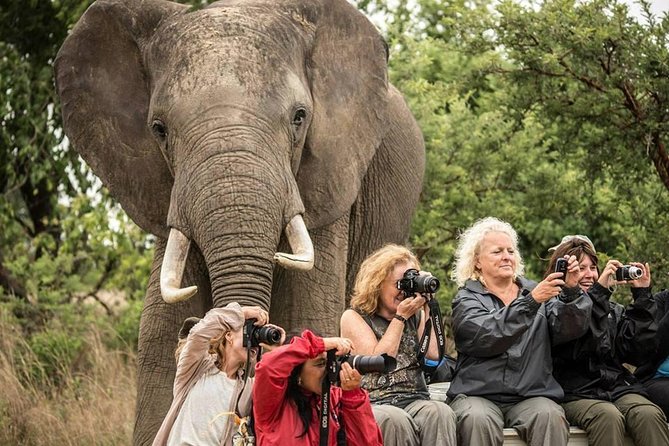 2 Days Amboseli Safari Adventure from Nairobi Classic Game Drives - Day 2 Morning and Afternoon Drives When Animals Are Active