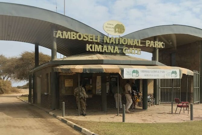 2 Days and 1 Night Amboseli Safari from Nairobi - Day 2: sunrise drives, breakfast, and the return to Nairobi