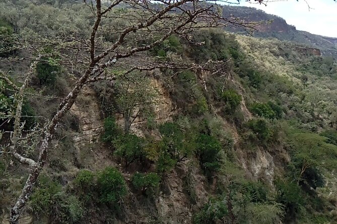 2 Days Private Tour to Lake Nakuru and Hell's Gate Park - Rift Valley viewpoints that set the stage