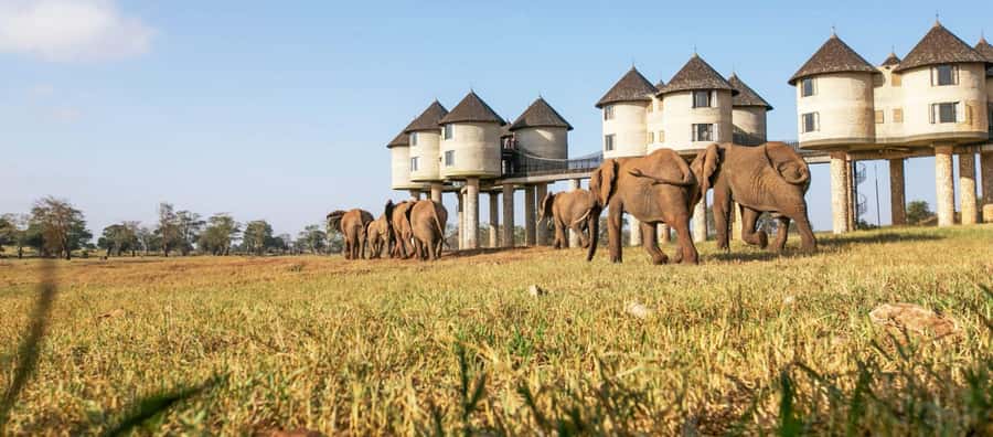 2 days Tsavo East and saltlick safari from Diani/Mombasa - The 5:00 am start, Bachuma Gate, and Aruba Dam’s waterhole action