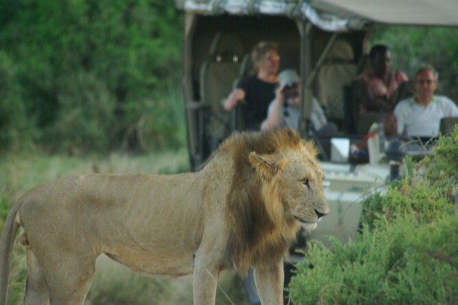 2 nights 3 days Masai Mara safari package - Why Masai Mara works so well for 2 nights