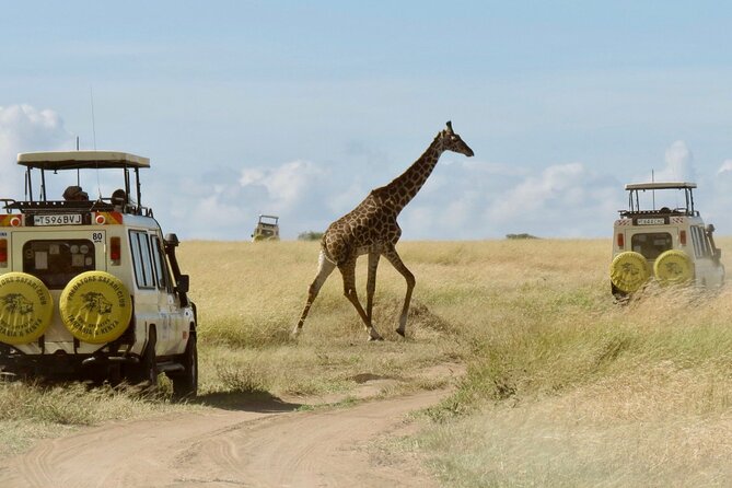 3-Day Budget Maasai Mara Joining Safari with 4x4 LandCruiser Jeep - Key Things That Matter On This Budget Masai Mara Safari