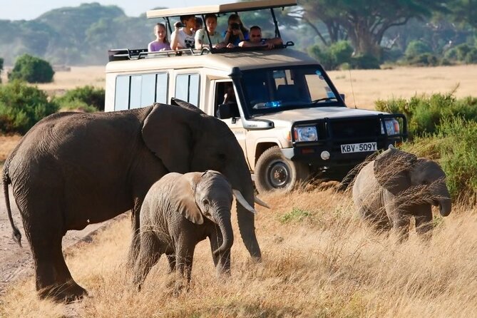 3-Day Budget Maasai Mara Joining Safari with 4x4 LandCruiser Jeep - Getting From Nairobi to the Mara: That First Rift Valley View