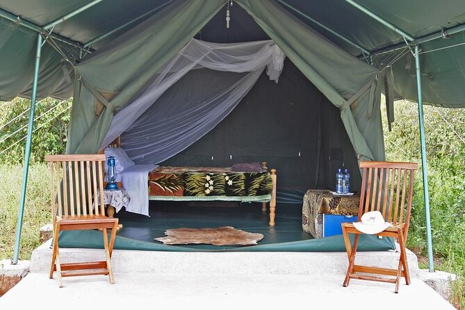 3-Day Budget Maasai Mara Joining Safari with 4x4 LandCruiser Jeep - Day 1 in the Masai Mara: Arrive for Lunch, Then Go Looking