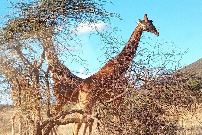3-day Budget Safari To Maasai Mara - What to pack for a 3-day Maasai Mara safari from Nairobi