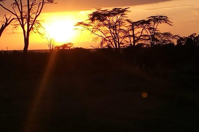 3-day Budget Safari To Maasai Mara - Day 2: the Mara River lunch plus the Maasai village visit