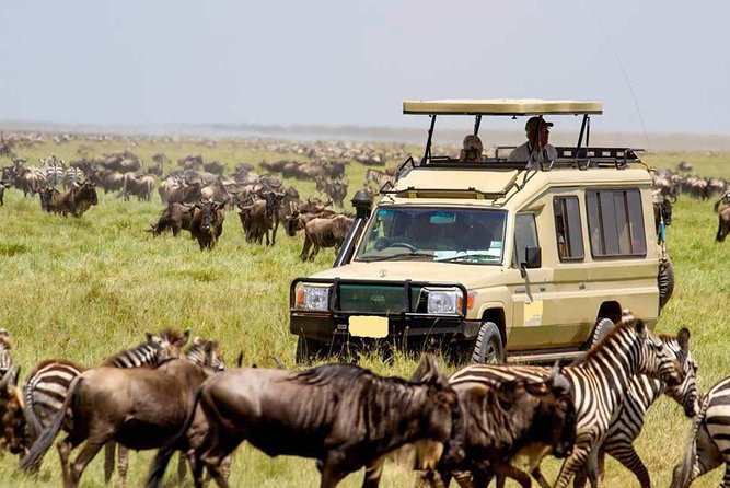 3 Day Maasai Mara Group Joining Camping Safari - Daily Departures - Why this Maasai Mara camp safari feels “classic,” not touristy