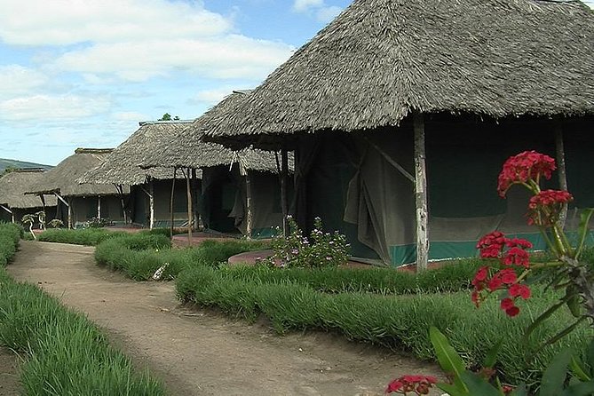 3 Day Maasai Mara Group Joining Camping Safari - Daily Departures - Day 1: arrive by lunch, then go straight into Maasai Mara action