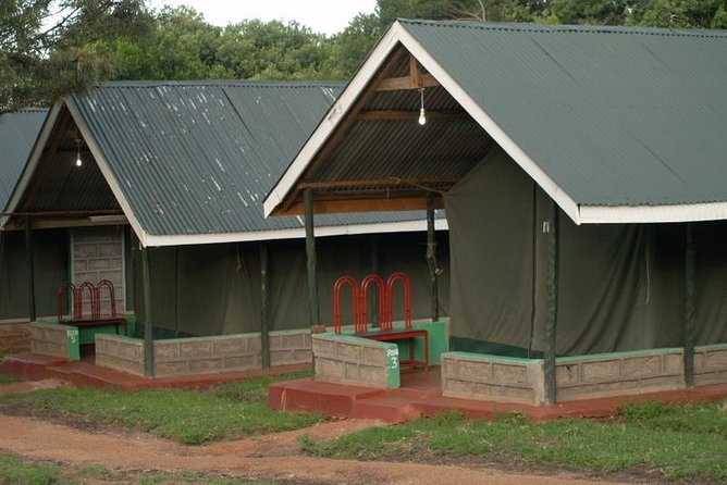 3 Day Maasai Mara Group Joining Camping Safari - Daily Departures - Guides and group vibe: where the best safari moments are made