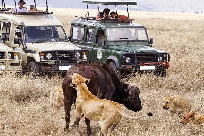 3 Day Maasai Mara Group Joining Camping Safari - Daily Departures - Price and logistics: what $445 covers, and what to budget