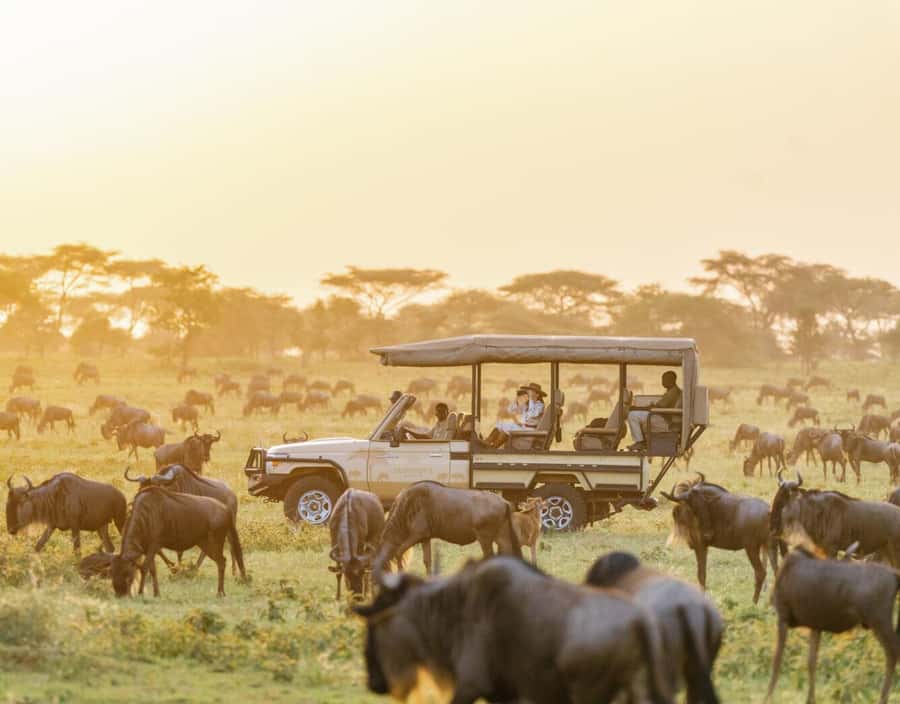 3-Day Maasai Mara Joining Safari at Enkorok Luxury Camp - Day 2: Big Five searching, plus Mara River picnic lunch