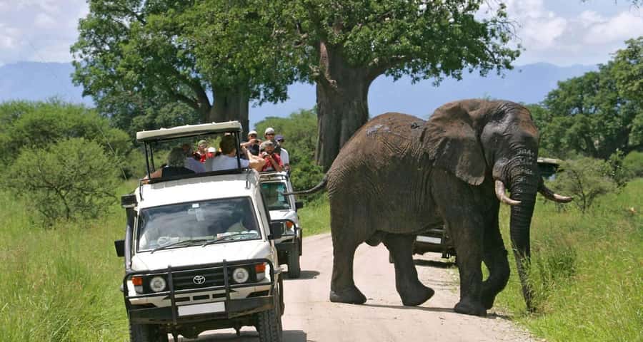 3-Day Maasai Mara Joining Safari at Enkorok Luxury Camp - Park fees and the real cost of getting into Maasai Mara
