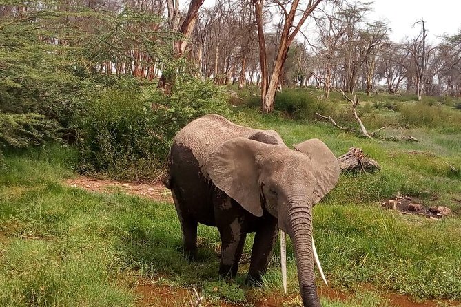 3 Day Maasai Mara & Migration safari - Why Maasai Mara Works Best in a Short 3-Day Trip