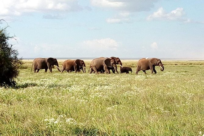 3 Day Maasai Mara & Migration safari - Day 1: Nairobi to Maasai Mara, Escarpment Photos, First Evening Drives