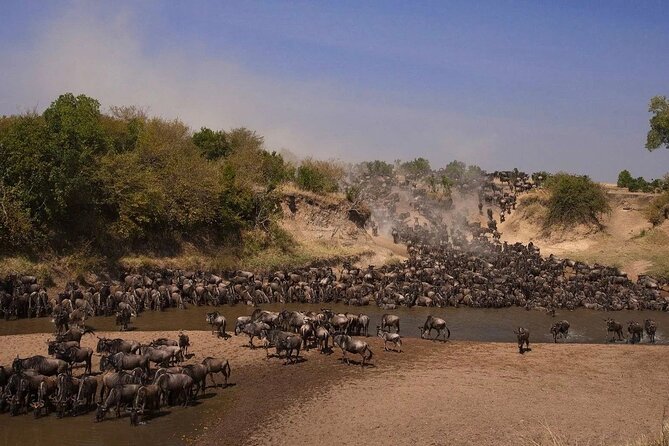 3-Day Masai Mara Group Safari with Pick Up - Key things to know before you go