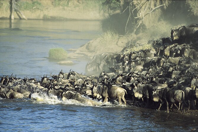 3-Day Masai Mara Group Safari with Pick Up - Meals and ticket value: what you’re getting for $1,195