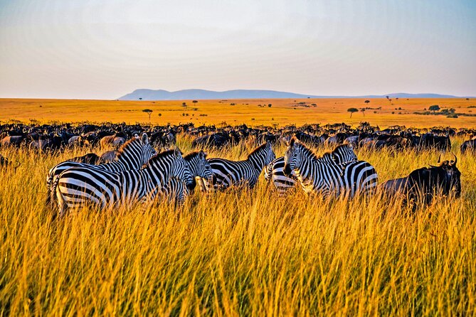 3-Day Masai Mara Jeep Safari - From Nairobi to Masai Mara: Why This Route Starts With the Rift Valley