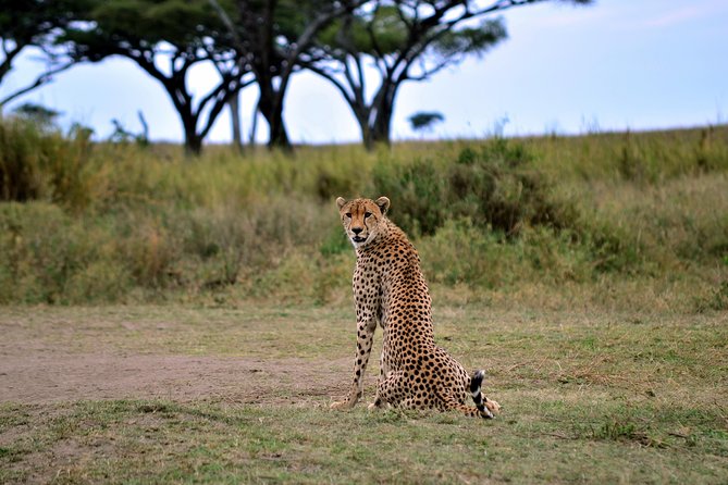 3-day Masai Mara Safari Tour to see the big five and wildebeest migration - Getting There From Nairobi Without Losing a Day