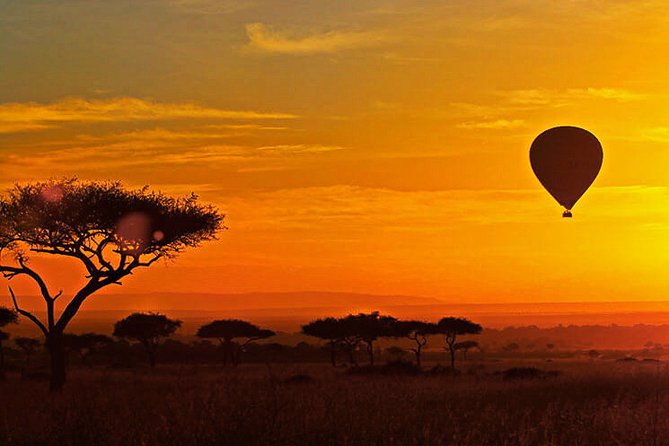 3-day Masai Mara Safari Tour to see the big five and wildebeest migration - Day 1: Rift Valley Drive, Narok Lunch, Camp Check-In, First Game Drive