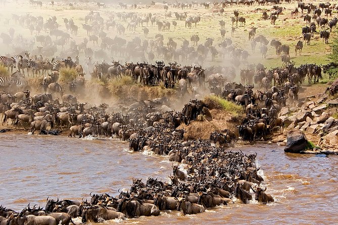3-day Masai Mara Safari Tour to see the big five and wildebeest migration - $700 Value: What You Get, and Why It’s Not Just a Low Price