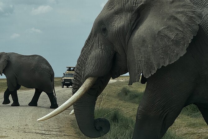 3 Day Private Tour in Maasai Mara with Lodge Luxury with Jeep - Key Highlights at a Glance
