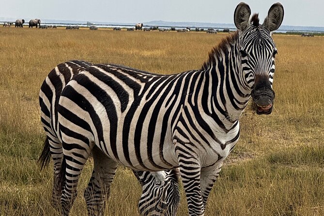 3 Day Private Tour in Maasai Mara with Lodge Luxury with Jeep - Day 3: Maasai Village Visit, Narok Lunch, and Back to Nairobi