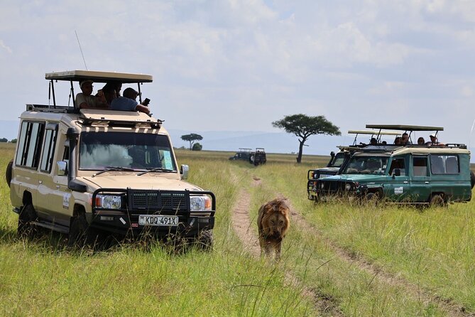 3 Day Private Tour in Maasai Mara with Lodge Luxury with Jeep - Best Time for Maasai Mara, and How Weather Changes the Game