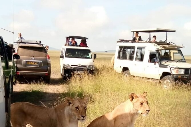 3 Day Private Wild Safari Tour in Maasai Mara - Price and logistics: what $3,500 per group really means
