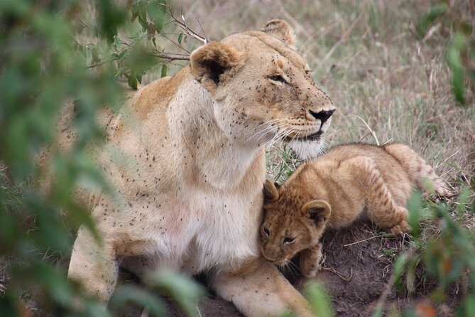 3-Day Safari Tour in two National Parks - Key things to know before you go