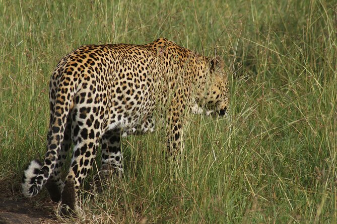 3-Day Tsavo East and Tsavo West Safari - Value and inclusions that actually save you money and stress