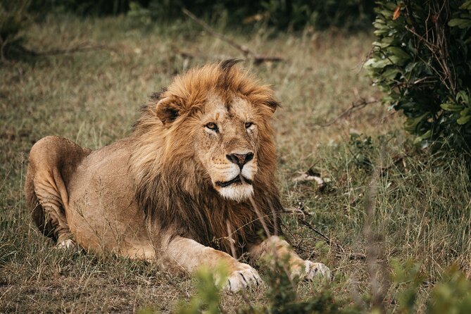 3-Day Tsavo East and Tsavo West Safari - What to pack for Tsavo: simple steps for better spotting and comfort