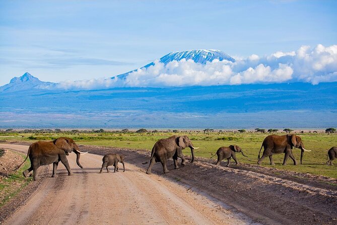 3 Days 2 Nights Amboseli National Park Tour - Amboseli Under Kilimanjaro: Why This Safari Works