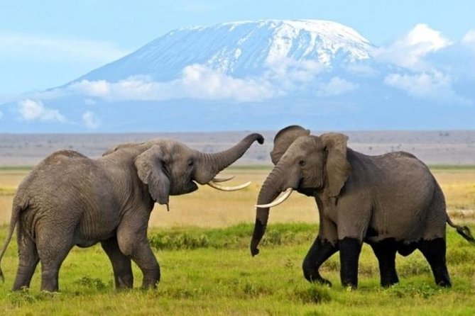3 Days 2 Nights Amboseli Safari - Key things to know before you go