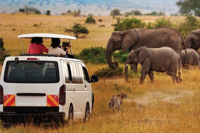3 Days 2 Nights Amboseli Safari - Day 3: game drive on the way back to Nairobi, then airport or hotel drop-off