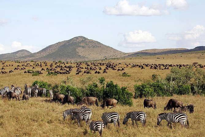 3 days 2 nights budget group safari to Maasai Mara National Reserve - Camps, Meals, and the Budget Reality of Staying Inside the Reserve