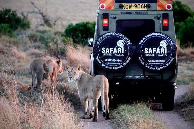 3 Days 2 nights Group joining Midrange Safari Tour in Masai maraa - Why a 3-Day Maasai Mara Safari Feels Like More Than 3 Days