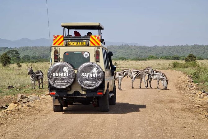 3 Days 2 nights Group joining Midrange Safari Tour in Masai maraa - Wildlife, Birds, and Migration Timing That Actually Changes Your Odds