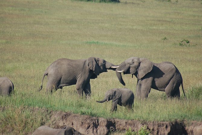 3 Days 2 Nights in Maasai Mara via The Great Rift Valley - The Great Rift Valley road trip: what it means for your comfort and timing