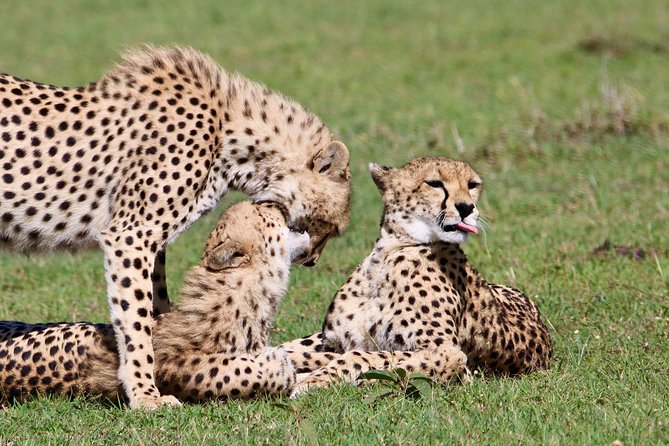3 Days 2 Nights in Maasai Mara via The Great Rift Valley - Price and logistics: is $624 per group actually good value?