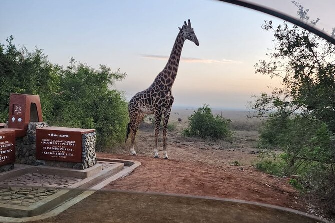 3 Days - 2 Nights Maasai Mara from Nairobi - Your first drive day: Nairobi to the Rift Valley floor and onward via Narok