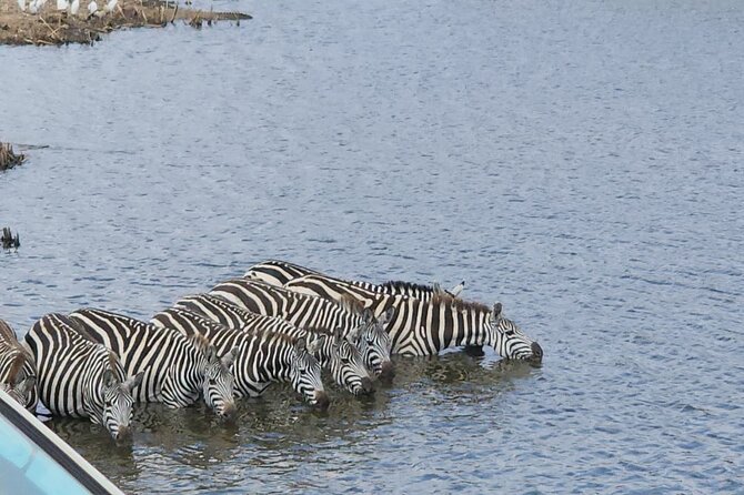 3 Days - 2 Nights Maasai Mara from Nairobi - Day 3 early drive, optional hot air balloon bush breakfast, then back to Nairobi